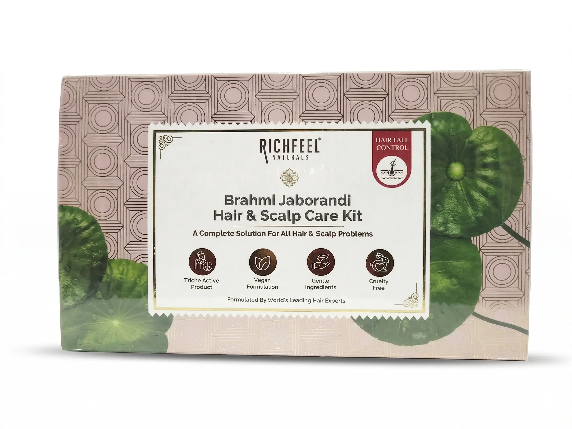 Richfeel Bhrami Jab Hair & Scalp Kit - Image 2