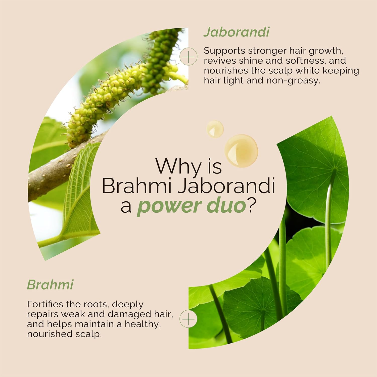 Richfeel Brahmi Hair Pack 100g - Image 5