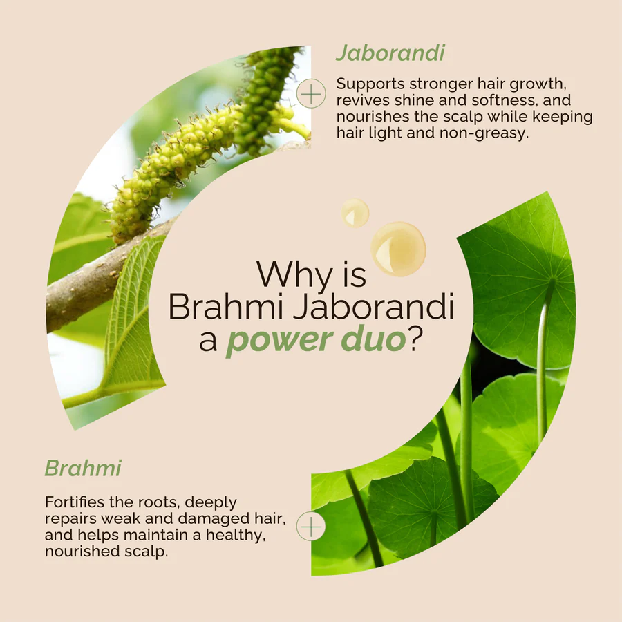 Richfeel Bhrami Jaborandi Hair Oil. 500Ml - Image 6